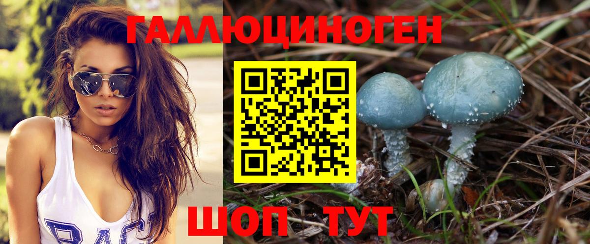 Мариинск  Галлюциногенные грибы GOLDEN TEACHER  Вход с VPN 